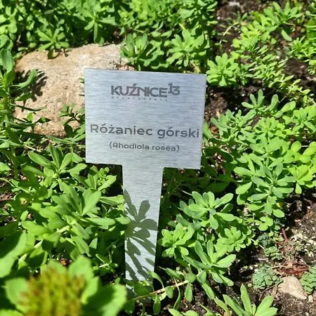 Apartment Kuznice 13