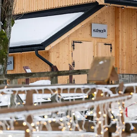 Apartment Kuznice 13 *