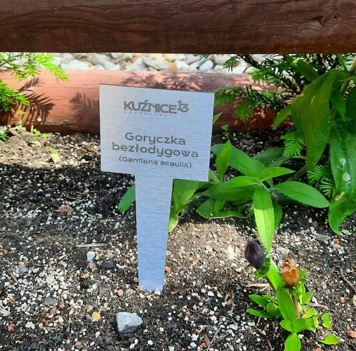 Kuznice 13 Apartment