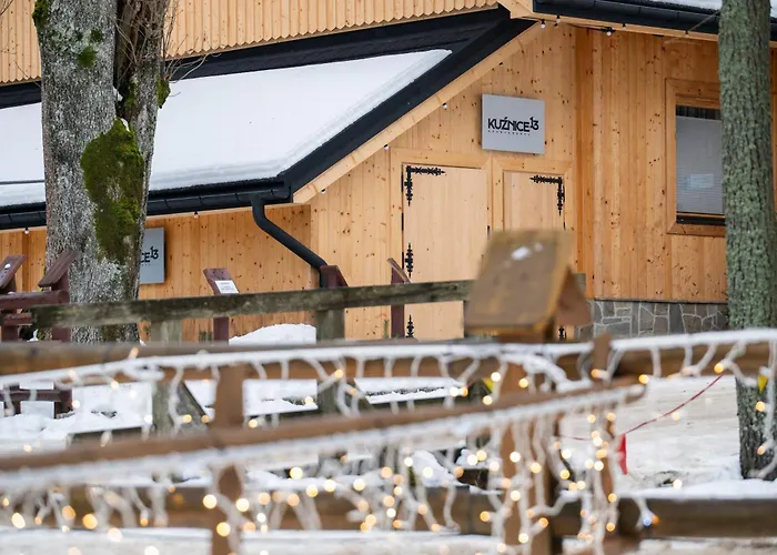 Apartment Kuznice 13 *